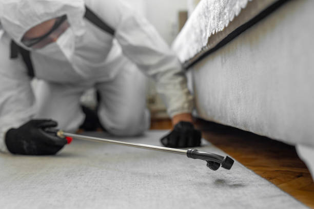 Professional Cockroach Control technician working in Fate, TX