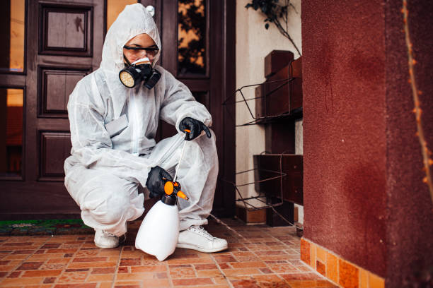 Reliable Cockroach Control contractor in Fate, TX by Nex Pest Control